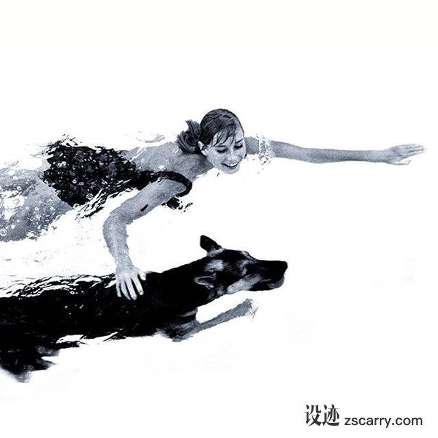 20478622_324460678000780_1094079456219234304_n.jpg 方案配图,色彩意境,黑色,