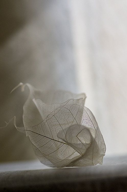 6b4269b2060e85ce76040a520df0ea34.jpg 方案配图,色彩意境,灰色,