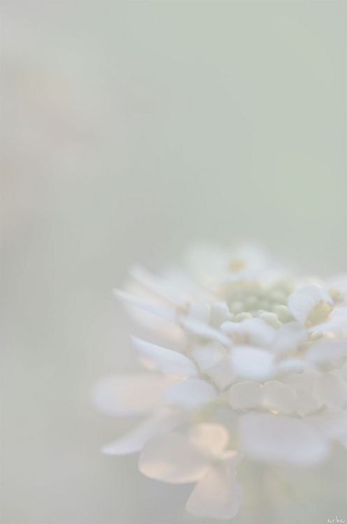 9b0098fe2af82f74f8d35cd42c561430.jpg 方案配图,色彩意境,灰色,