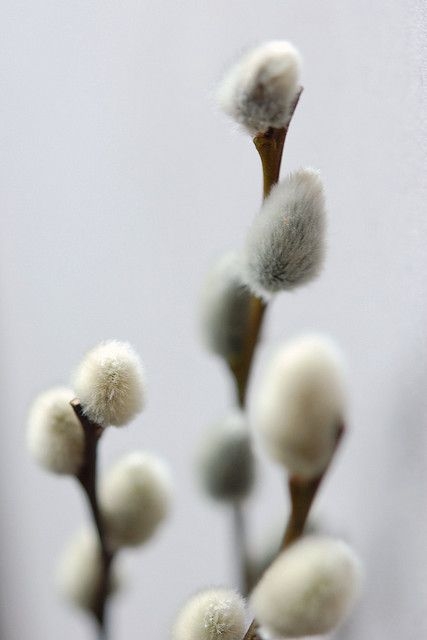 126ba5abf5d1218ca6857387ab529dd9.jpg 方案配图,色彩意境,灰色,