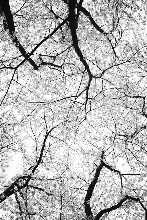 505e73801e3edb26d20eff17e6a3f593.jpg 方案配图,色彩意境,灰色,