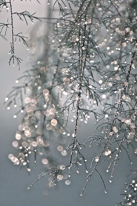 4329d036dca2cc8c4abb8f2ad6db3a57.jpg 方案配图,色彩意境,灰色,