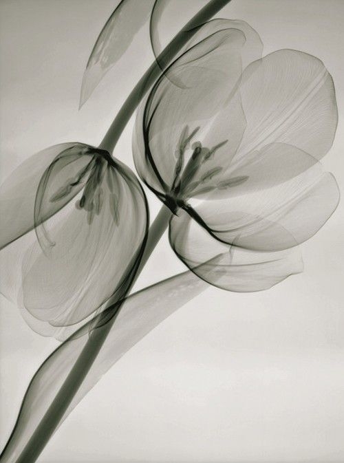 5330dc9aeb7f700505c5020cb58194d8.jpg 方案配图,色彩意境,灰色,