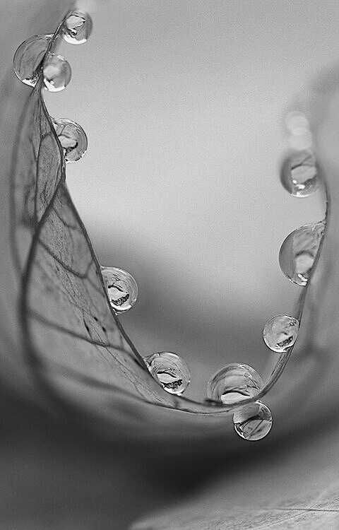 20142ff5f0fe0c5273a49f0092496c2a.jpg 方案配图,色彩意境,灰色,