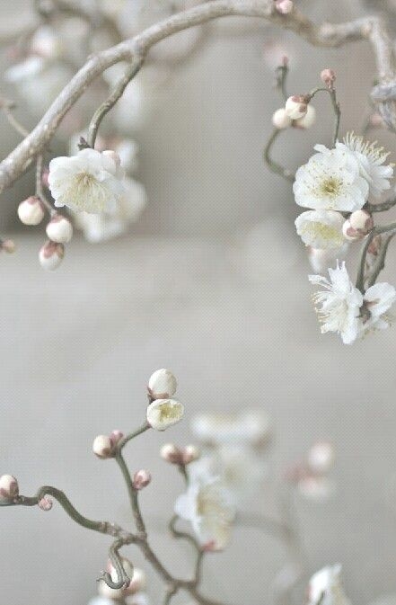 705726c69b173dbd3c4fcbc7847da1c2.jpg 方案配图,色彩意境,灰色,