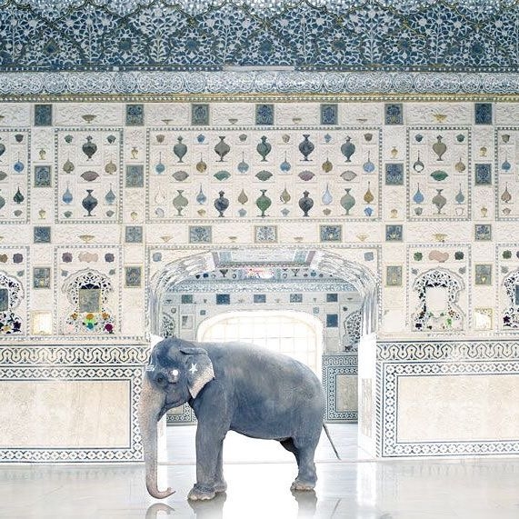 20346876_456940894670379_7668907343890874368_n.jpg 方案配图,色彩意境,灰色,