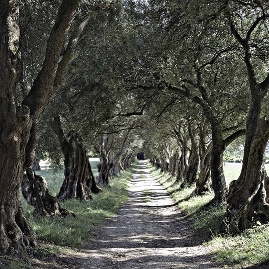 22580134_2097275893829740_6183628127319621632_n.jpg 方案配图,色彩意境,灰色,