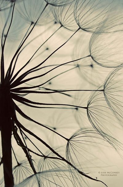 c662f0fe788cafa1b8ee147c4a41baa0.jpg 方案配图,色彩意境,灰色,