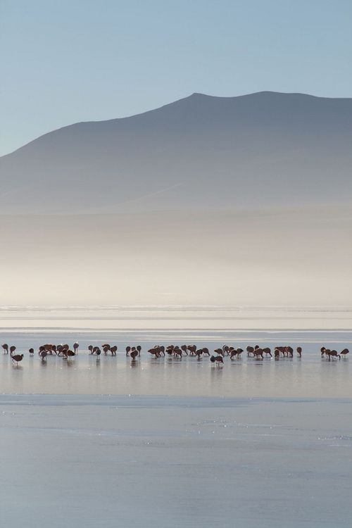 d95710855c9c3c68ae65634a92a83522.jpg 方案配图,色彩意境,灰色,