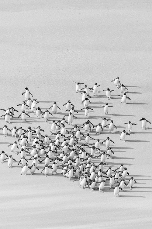 dc71e28674558b2052ee72b5085ad2e6.jpg 方案配图,色彩意境,灰色,