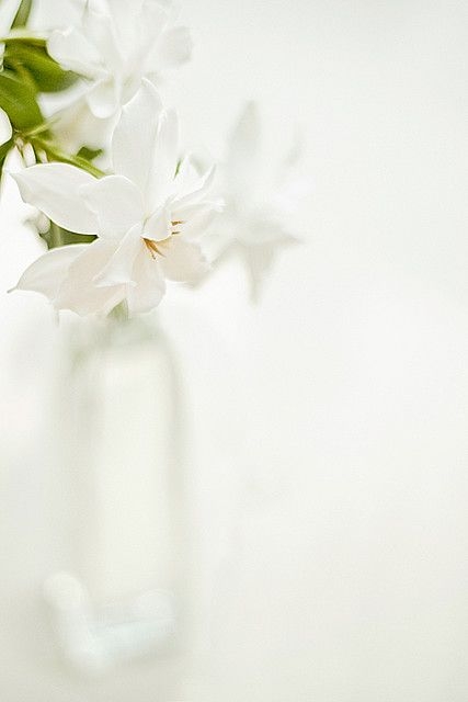 0ae101f25222f959514527de7458ef02.jpg 方案配图,色彩意境,白色,