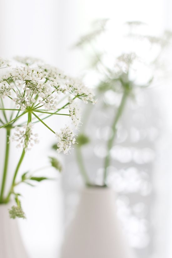 8fa8eee348c04079c21f13d1547f85c2.jpg 方案配图,色彩意境,白色,