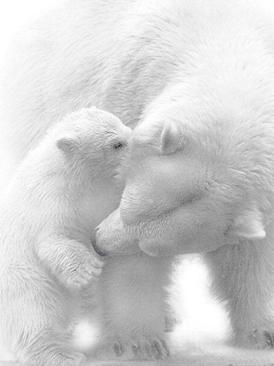 013c9dbb33a6013c4071ba70f6ebe49c.jpg 方案配图,色彩意境,白色,