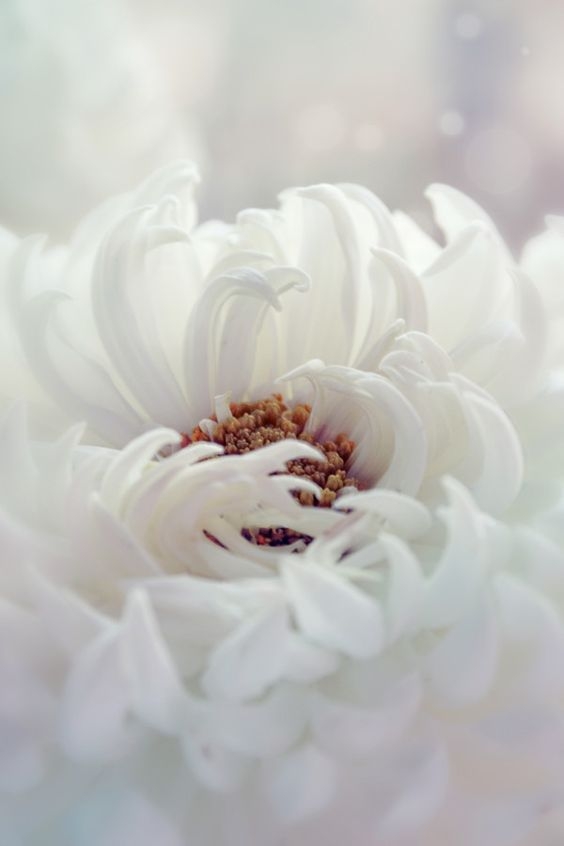 37b089b0e644825fdb71adce1b724c87.jpg 方案配图,色彩意境,白色,