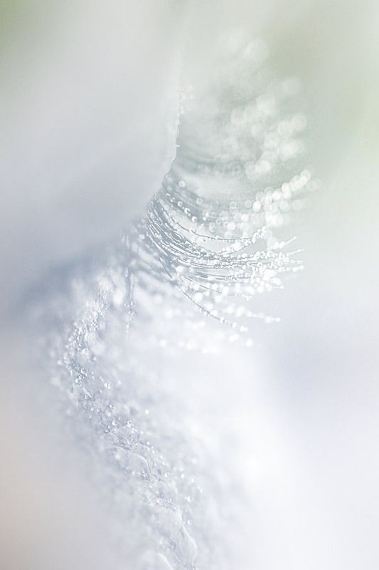 43f4258eecdeea115babe00246d7e32e.jpg 方案配图,色彩意境,白色,