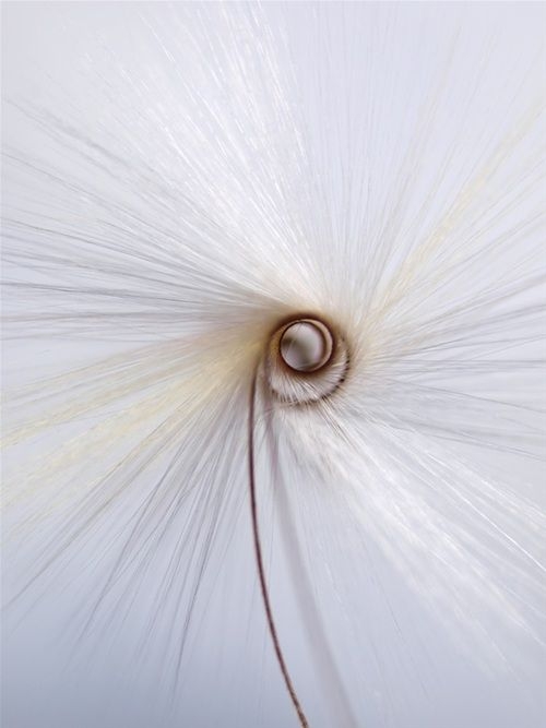 49d9c9fbfd4ea92f1baab2015238f90d.jpg 方案配图,色彩意境,白色,