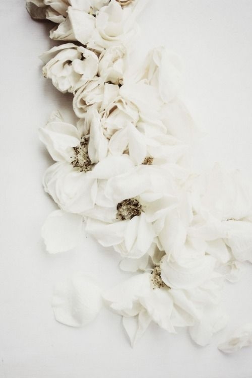 476b94677c0f0fe8e6331315c1a906ed.jpg 方案配图,色彩意境,白色,