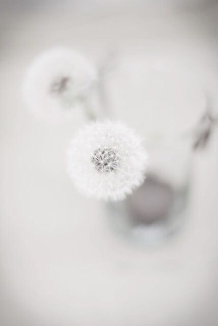 727e970b2c58e69097d6ae0ddb595e58.jpg 方案配图,色彩意境,白色,