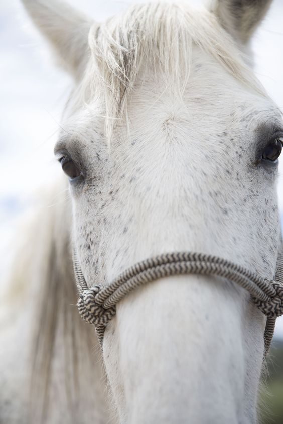 9229b5b5236836dc8264369930729731.jpg 方案配图,色彩意境,白色,