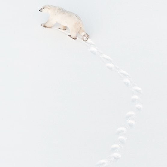 23421165_472895396444379_1049809402938261504_n.jpg 方案配图,色彩意境,白色,