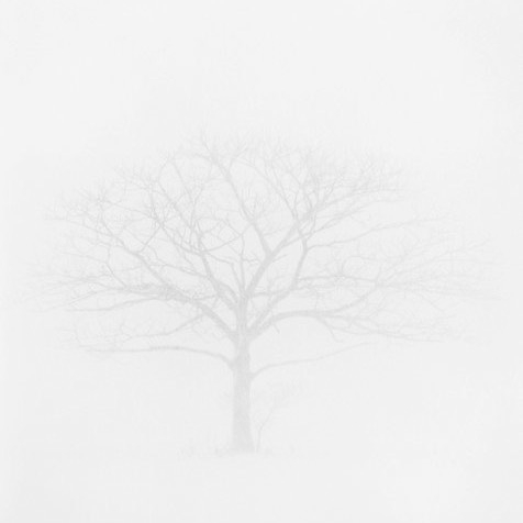 25009544_1926207630727618_6660936643312091136_n.jpg 方案配图,色彩意境,白色,