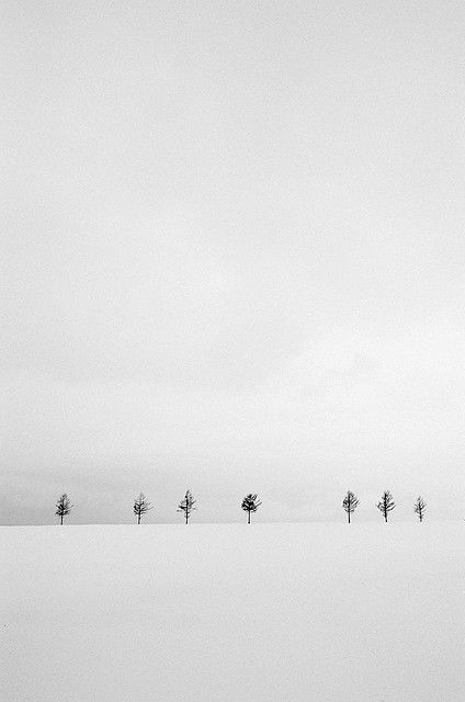 c8afeb1a18660336e6060916b132f6bf.jpg 方案配图,色彩意境,白色,