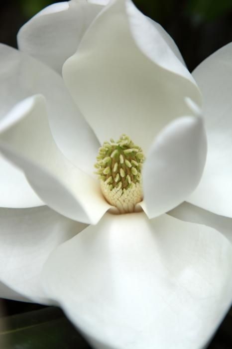 c81ba7d93bd714301a2200fbf2838440.jpg 方案配图,色彩意境,白色,