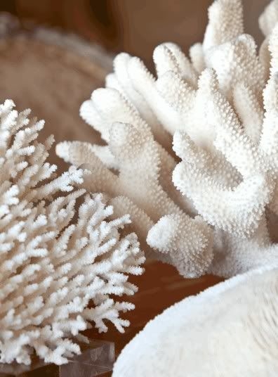 e27e12883a843117f58175fd943bf717.jpg 方案配图,色彩意境,白色,