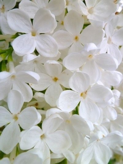 e65f709794898dfa1ffde8b32c98a69b.jpg 方案配图,色彩意境,白色,