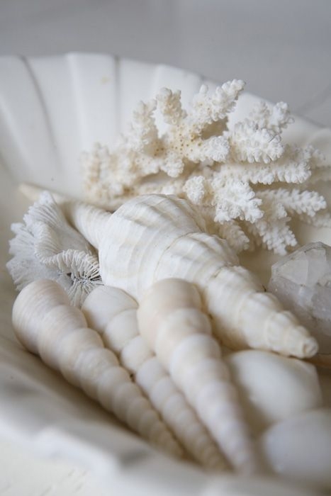 e595a998499190d243dfe8a279148832.jpg 方案配图,色彩意境,白色,