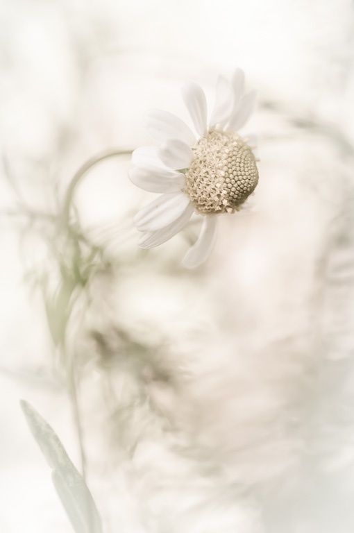 f05f80e53998f41b6a525e5f91a7f6fa.jpg 方案配图,色彩意境,白色,