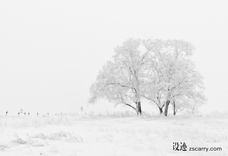 winter_nature_season_trees_sky_snow_white-1153705.jpg 方案配图,色彩意境,白色,