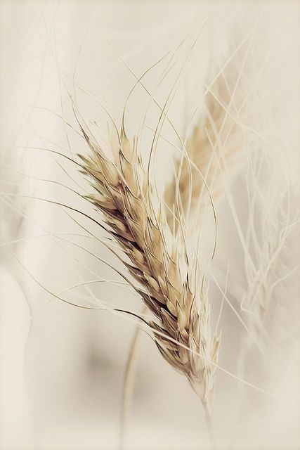 0a39708240dfa99ddb1ee7b7b7c5fadd.jpg 方案配图,色彩意境,褐色,