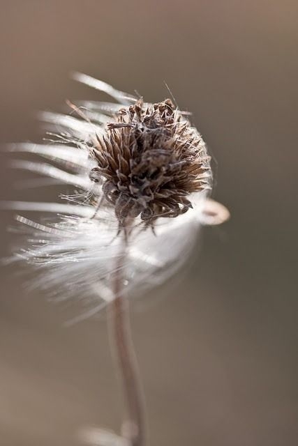 2f42e4762321a87bfc6f856f2eb952e5.jpg 方案配图,色彩意境,褐色,