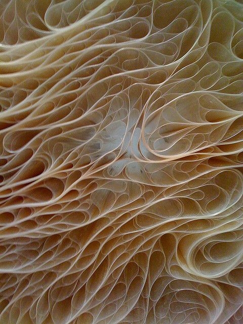 76c8e7c2d598ed1b9e7c6dcb37aa7ad5.jpg 方案配图,色彩意境,褐色,