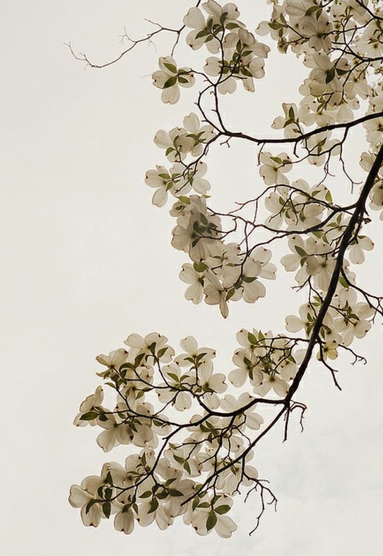 418cefe59b45f255ef4b11a3c1e211df.jpg 方案配图,色彩意境,褐色,