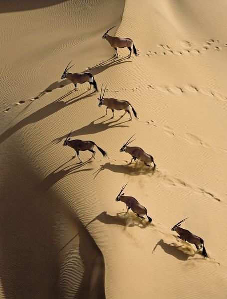 44286a00204302b762cd56ba516e8006.jpg 方案配图,色彩意境,褐色,