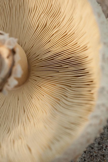 240218a21db37891c87490878219f7df.jpg 方案配图,色彩意境,褐色,