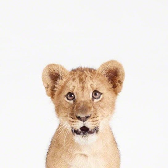 24254084_1880009645361962_8848961801879027712_n.jpg 方案配图,色彩意境,褐色,