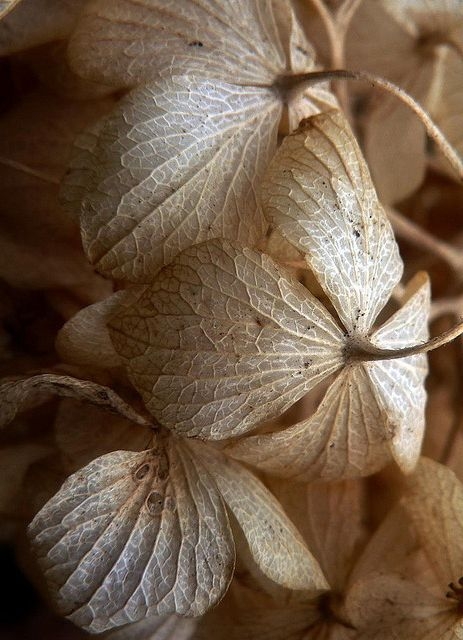 ae2f2bb24ef6f3af012a3c55822622a0.jpg 方案配图,色彩意境,褐色,