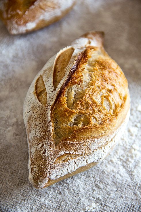 b339d4643e208a54f089c360a7c93e2a.jpg 方案配图,色彩意境,褐色,