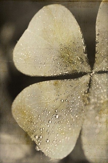 ca2a6103bd72c8580344829ba7d4f0dd.jpg 方案配图,色彩意境,褐色,