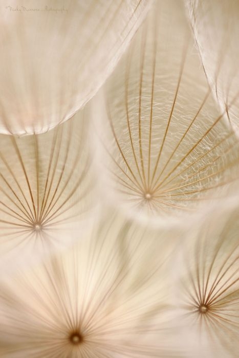 e81e0e60607ca0cdfc197df2e4c33545.jpg 方案配图,色彩意境,褐色,