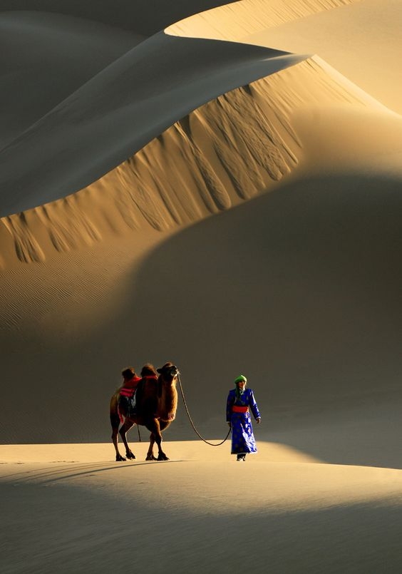 f96ca8b6d1b5496452d74fc664b12761.jpg 方案配图,色彩意境,褐色,