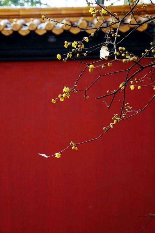 3c7f862839dd37692d64ed9c1ec589fd.jpg 方案配图,国家元素,中国,