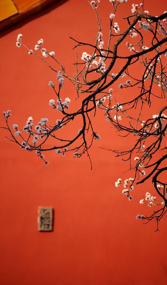 43b78a1028b359d6cd68b48b6f0bd480.jpg 方案配图,国家元素,中国,