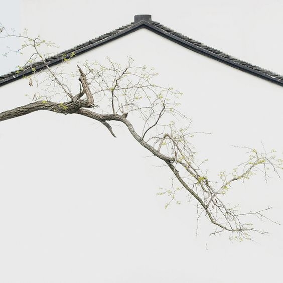 10732fb547d1802658843e62cff59e4e.jpg 方案配图,国家元素,中国,