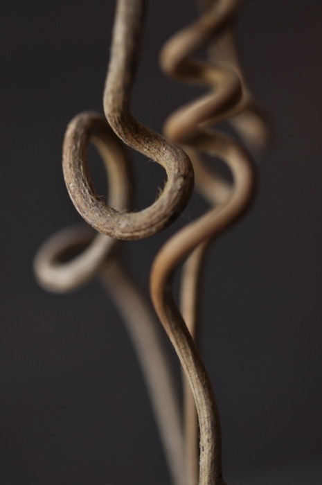 器物 (2).jpg 方案配图,国家元素,中国,