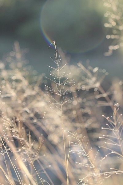 854d58198bf54d34a6bbad0a74d93040.jpg 方案配图,格调渲染,唯美梦幻,