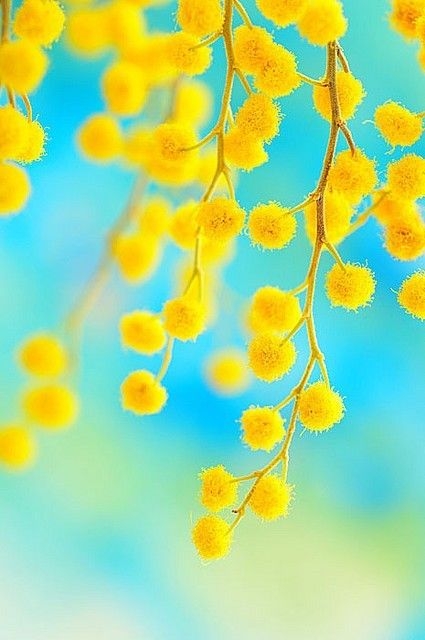 9090772042de31b6c0a08c5697cbd231.jpg 方案配图,格调渲染,唯美梦幻,